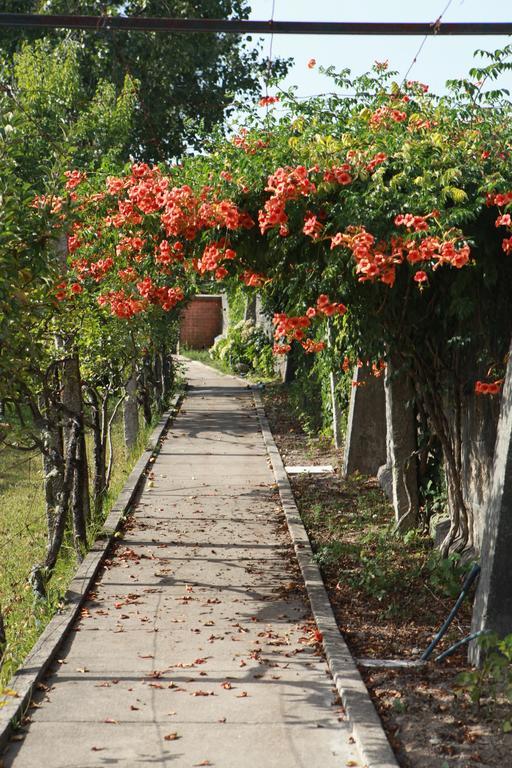 Вилла Quinta De Santo Antonio Muro Экстерьер фото